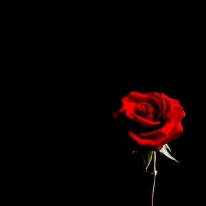 Meet your Posher, Shaun